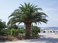 Slika_02