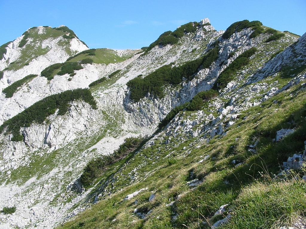 Slika_33.jpg - Lepo, lepo...to pa priporočam...Iz doline, po lovski do Kranjske koče in nato na Ledinski vrh.