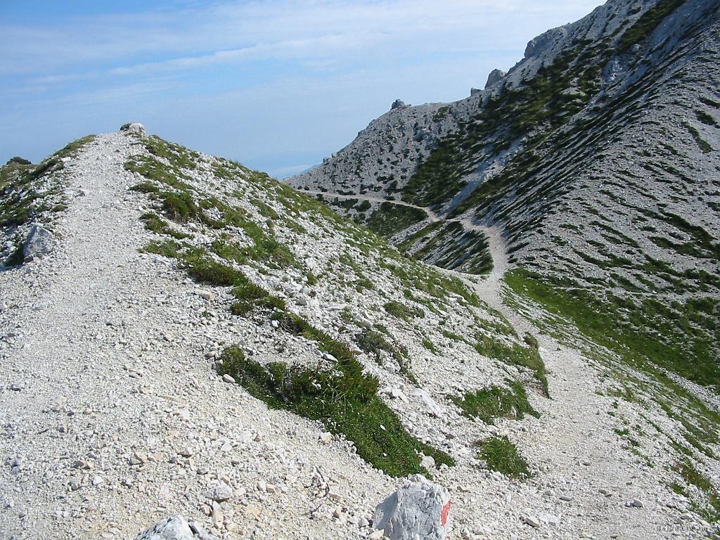 Slika_35.jpg - Čisti užitek ob takem vremenu!