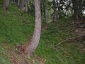 Slika_66