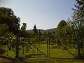 Slika_04