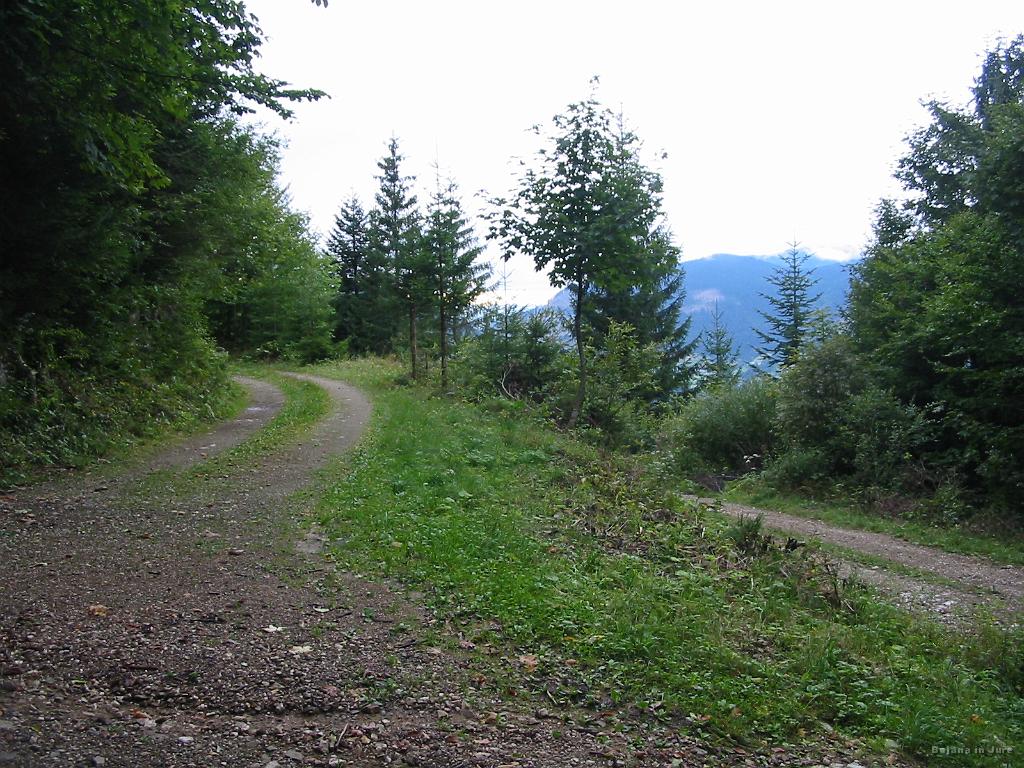 Slika_22.jpg - Levo ali desno...ma to sploh ni vprašanje, greva samo navzdol.