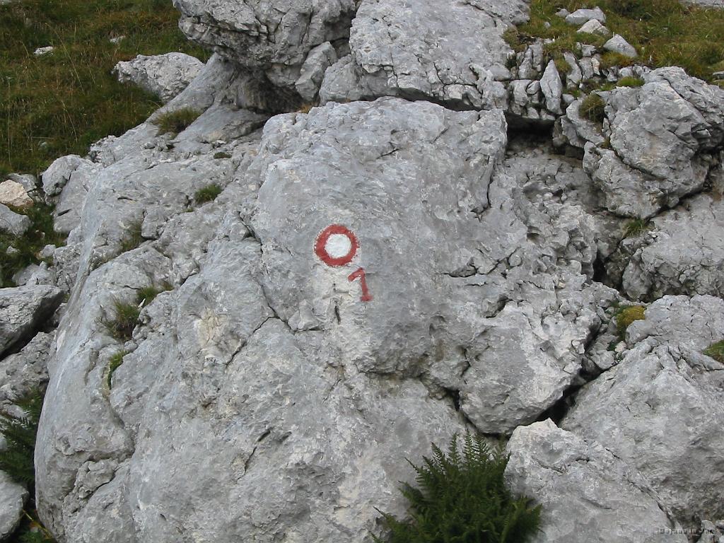 Slika_28.jpg - Šla sva po poti, ki je označena kot Slovenska planinska pot.