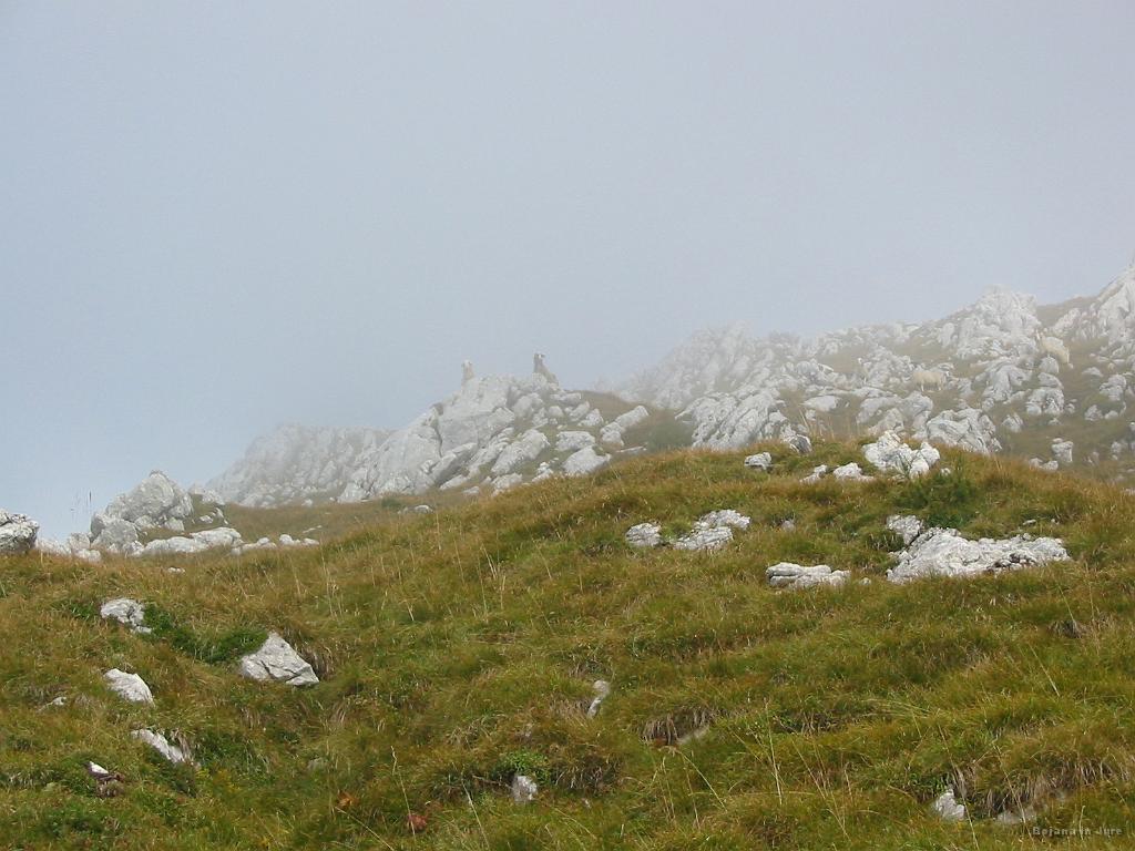 Slika_31.jpg - Dve opazovalki na skali, ki se sprašujeta kaj hudiča kazi gorski mir.