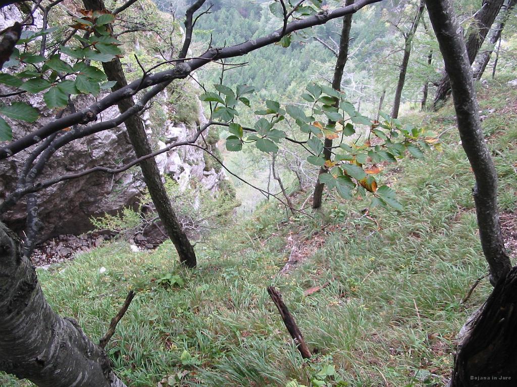 Slika_54.jpg - Slika z lovske poti, ki ni prav nič manj nevarna od poti skozi Taško, le jeklenic in klinov ni.