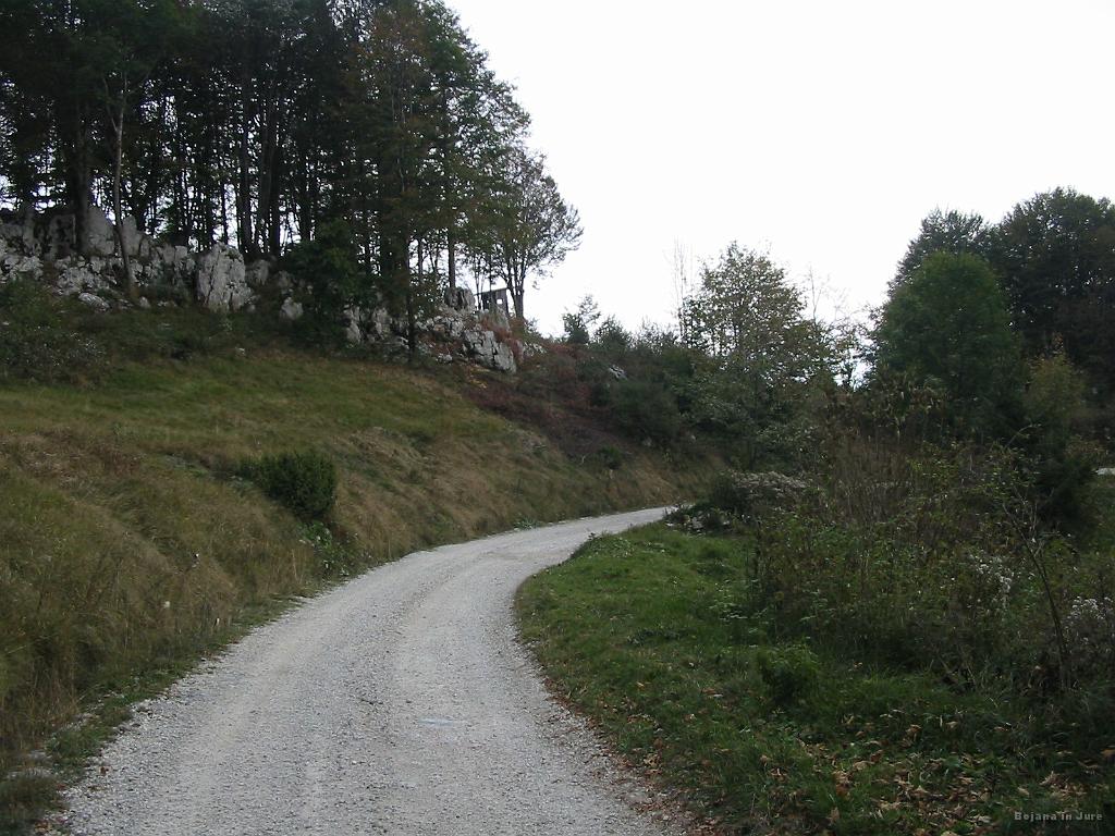 Slika_27.jpg - Do te opazovalnice (v sredini slike) pelje kolovoz. Na tem kolovozu sva jo obrala desno naravnost v gozd. V gozdu pa direkt po klancu navzdol.