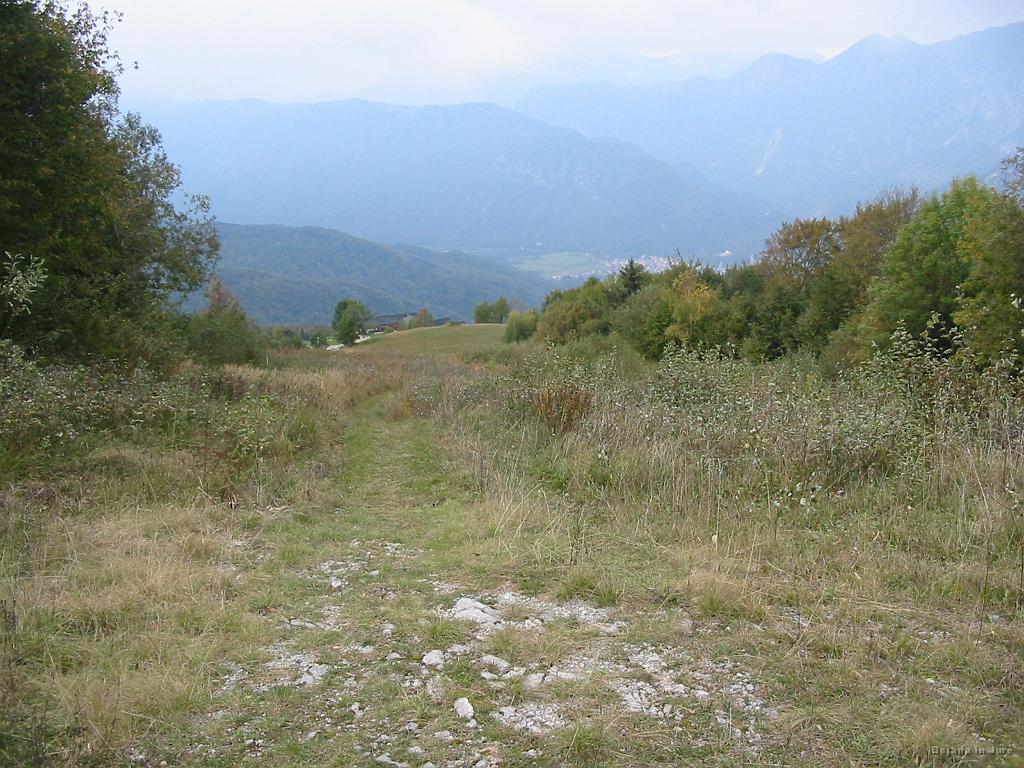 Slika_37.jpg - ...zaraščenost pa, da je od tega že resnično mnogo let.