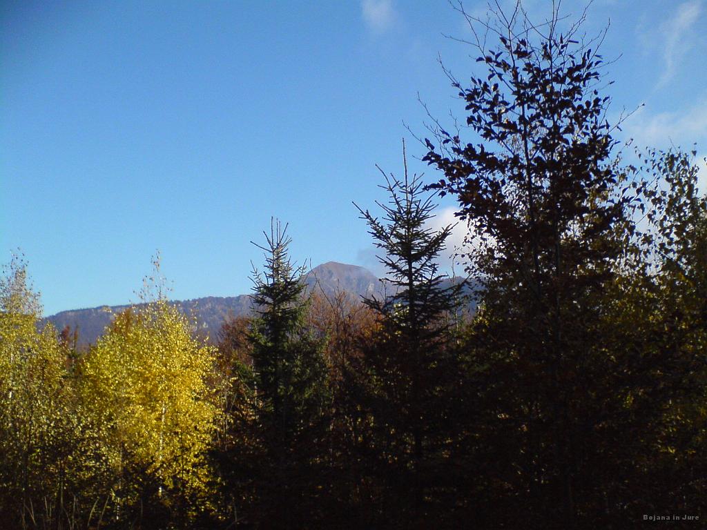 Slika_05.JPG - Porezen.