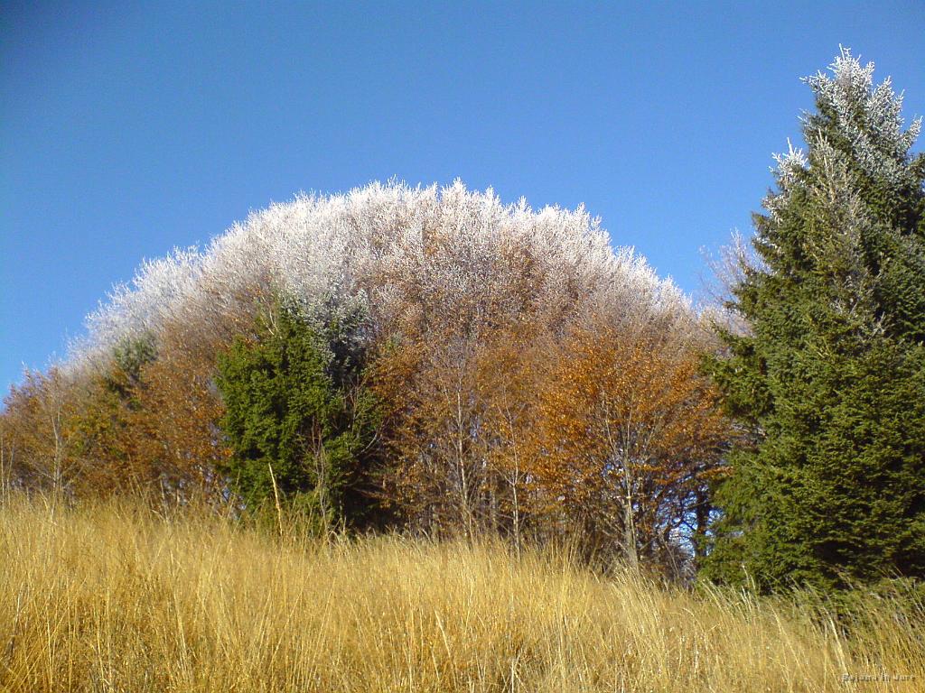 Slika_07.JPG - Mraz pritiska.