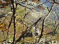 Slika_14