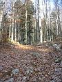 Slika_06