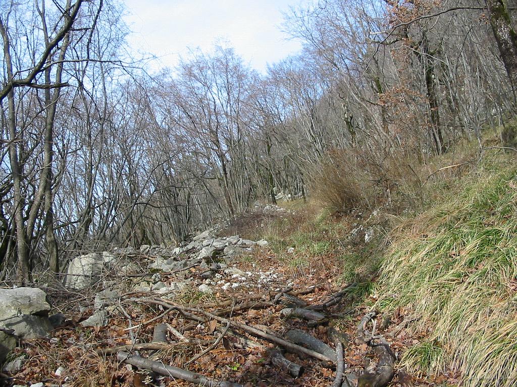 Slika_12.jpg - Ni markacij, ni kaj prida pot... je pa dovolj blizu definicije poti. Gre tudi v levo, zato sem trmaril, da greva tu. No, Bojana je bila raje tiho, saj na njenem zemljevidu ni itak narisano nič pametnega -  je očitno prestar.