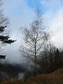 Slika_23
