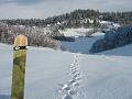 Slika_01