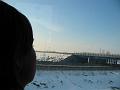 Slika_81