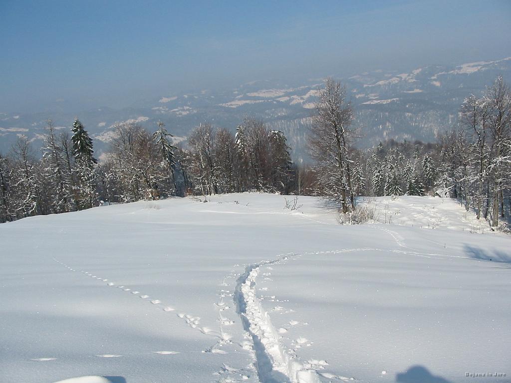 Slika_05.jpg - Samo moji in živalski odtisi.