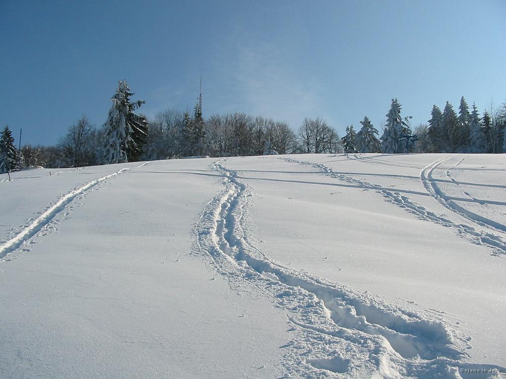 Slika_47.jpg - Slika z vrhnjega dela ob drugem vzponu. Raje sem šel po celem snegu, saj je bila prejšnja "špura" preveč shojena in psi niso dobro držali.