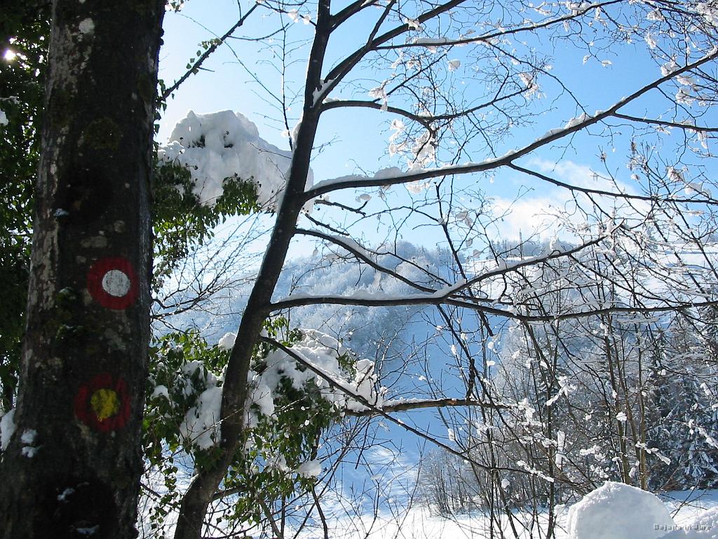 Slika_01.jpg - Parkirišče na Ulovki je bilo povsem zasneženo, zato je bilo potrebno parkirat malce naprej. Pogled na zasneženo drevje in smučarski tereni na Ulovki v ozadju.