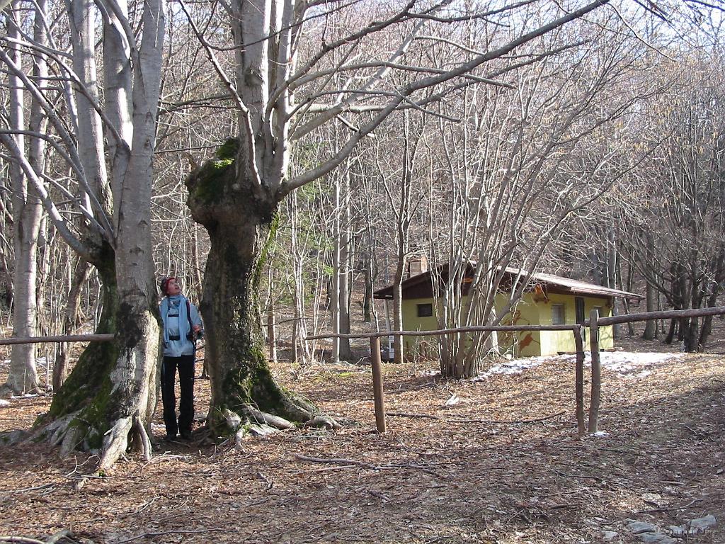 Slike_12.jpg - Koča pri Lipi.