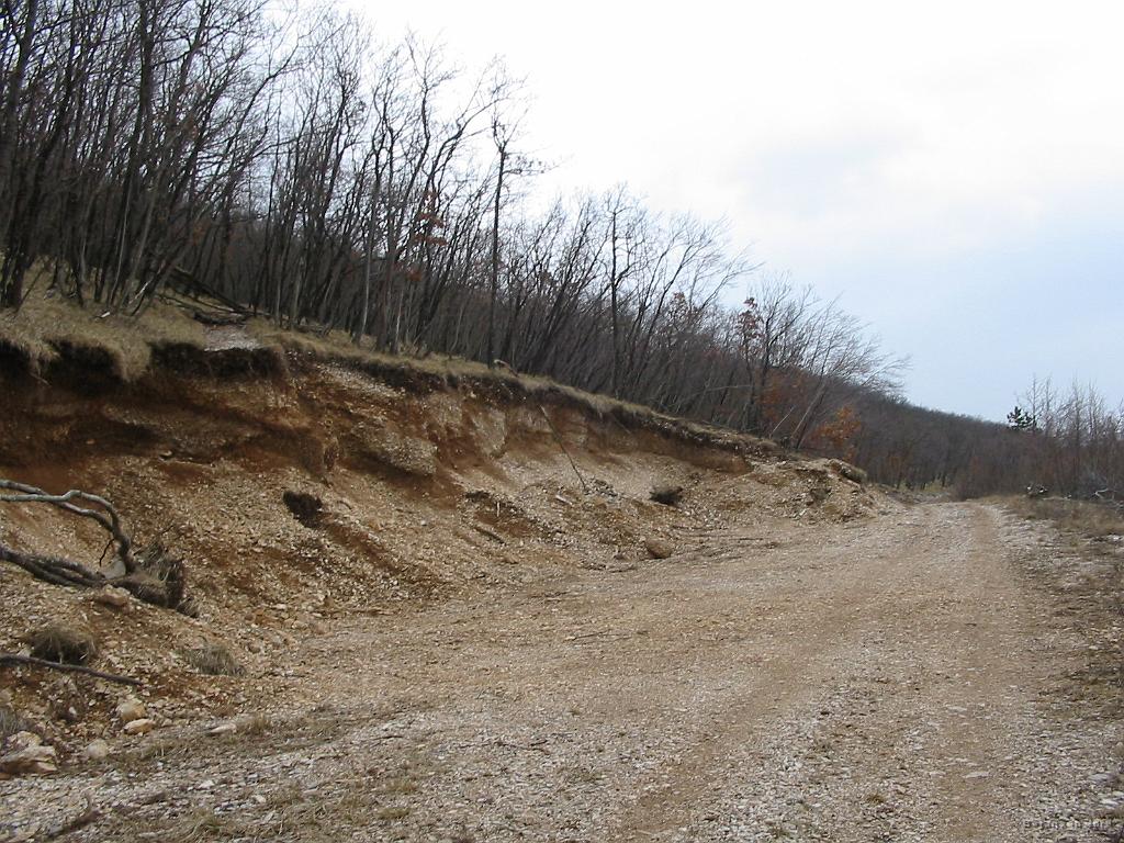 Slike_26.jpg - Sicer je pred prepadom nekaj vej, vendar upam, da se ne bo nobenemu nič naredilo, ker tak prepad je res lahko usoden.