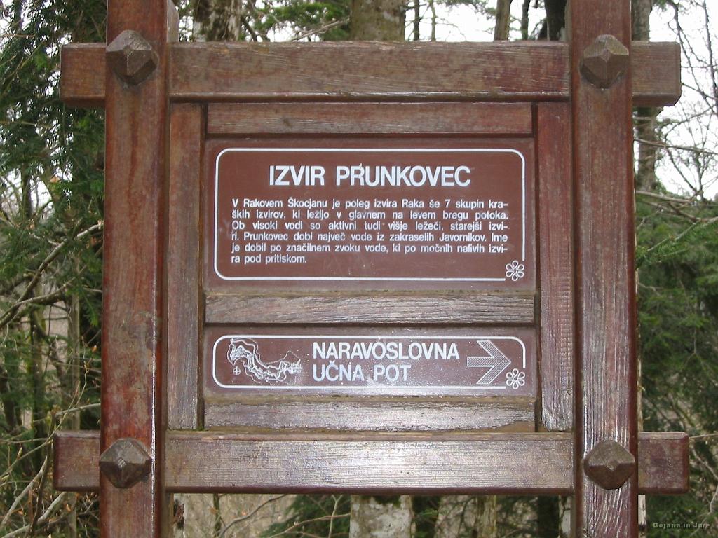 Slike_06.jpg - Evo, osem skupin kraških izvirov je samo v Rakovem Škocjanu. Ta svet je prepreden z jamami kot švicarski sir.