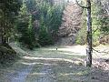 Slika_19