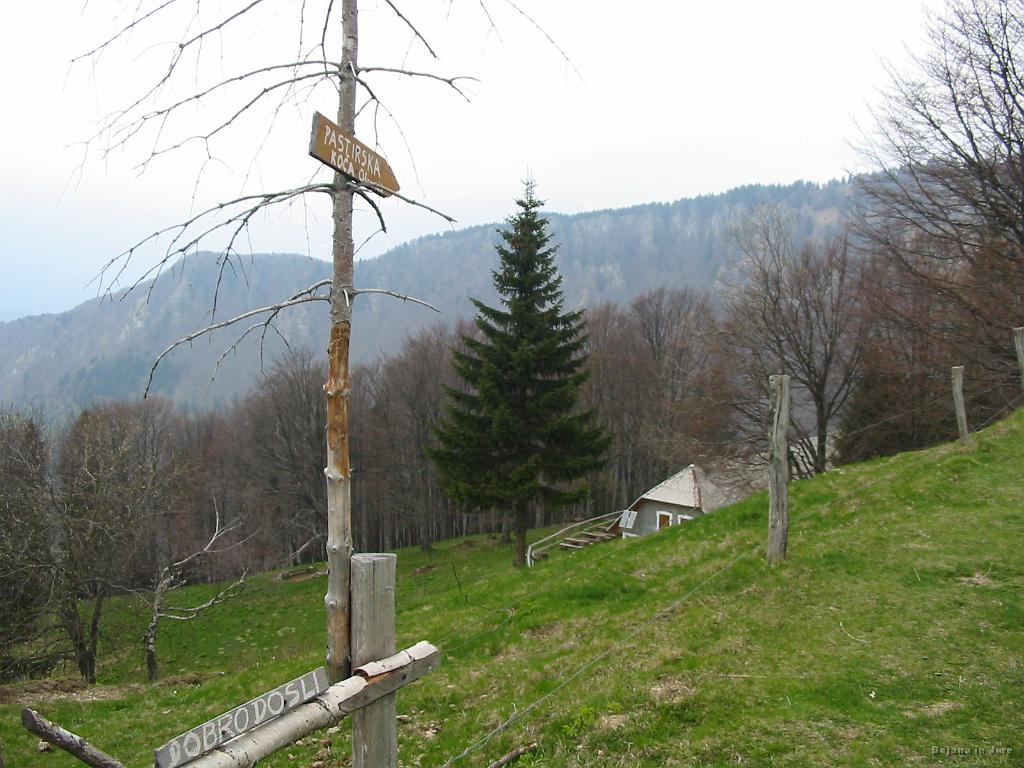 Slika_17.jpg - Pastirska koča na Otavniku (1250 m).