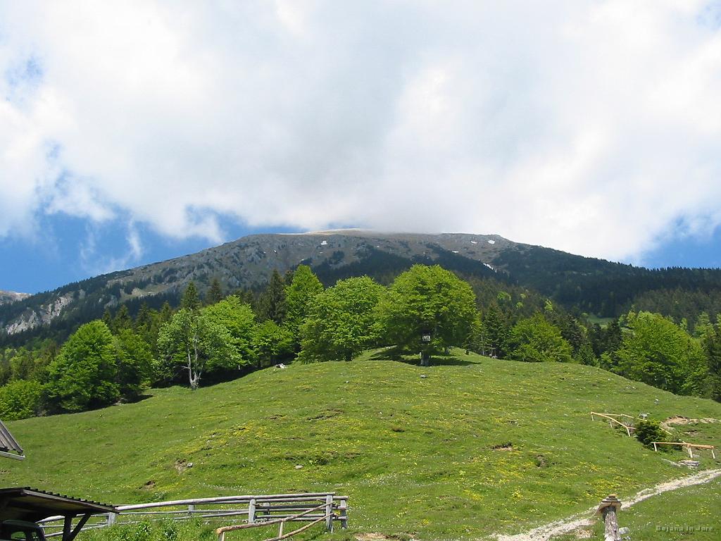 Slika_51.jpg - Pogled proti vrhu Stola, ki ga oblaki niso in niso spustili iz vajeti.