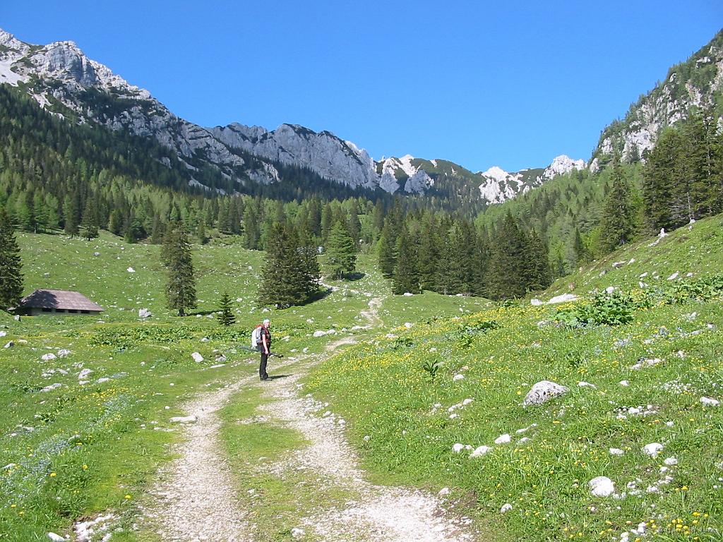 Slika_60.jpg - Jaz temu pravim raj. Sicer je to Smokuška planina.