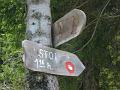 Slika_46