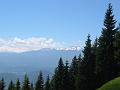 Slika_48