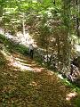Slika_53