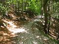 Slika_59