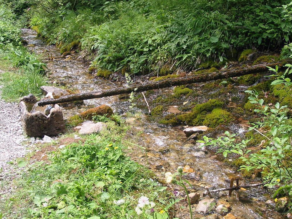 Slika_44.jpg - In še cel kompleks.