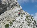 Slika_36