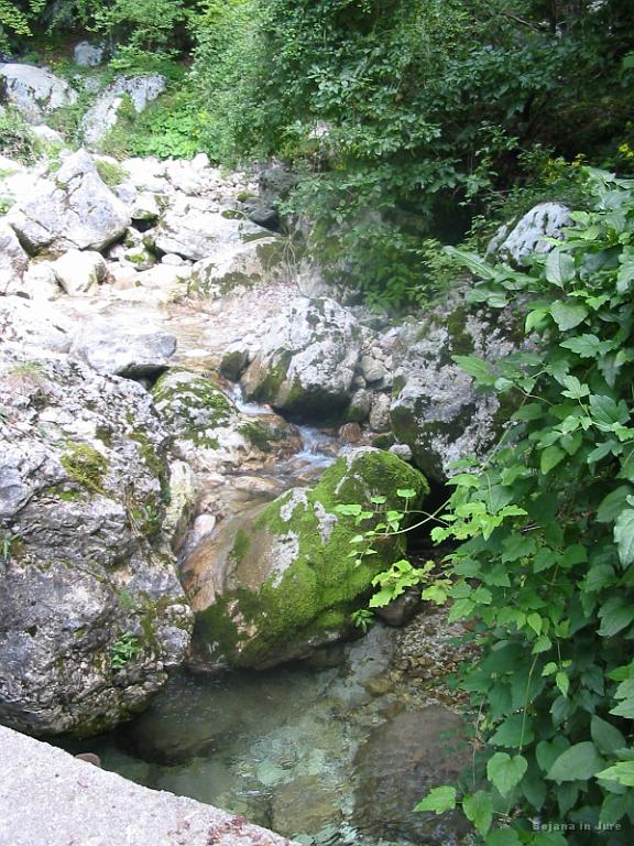 Slika_53.jpg - Potok Ročica. Čist, bister...ja, zopet sva ga malce srknila.