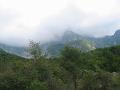 Slika_56