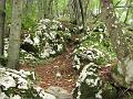 Slika_19