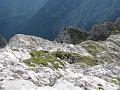 Slika_58