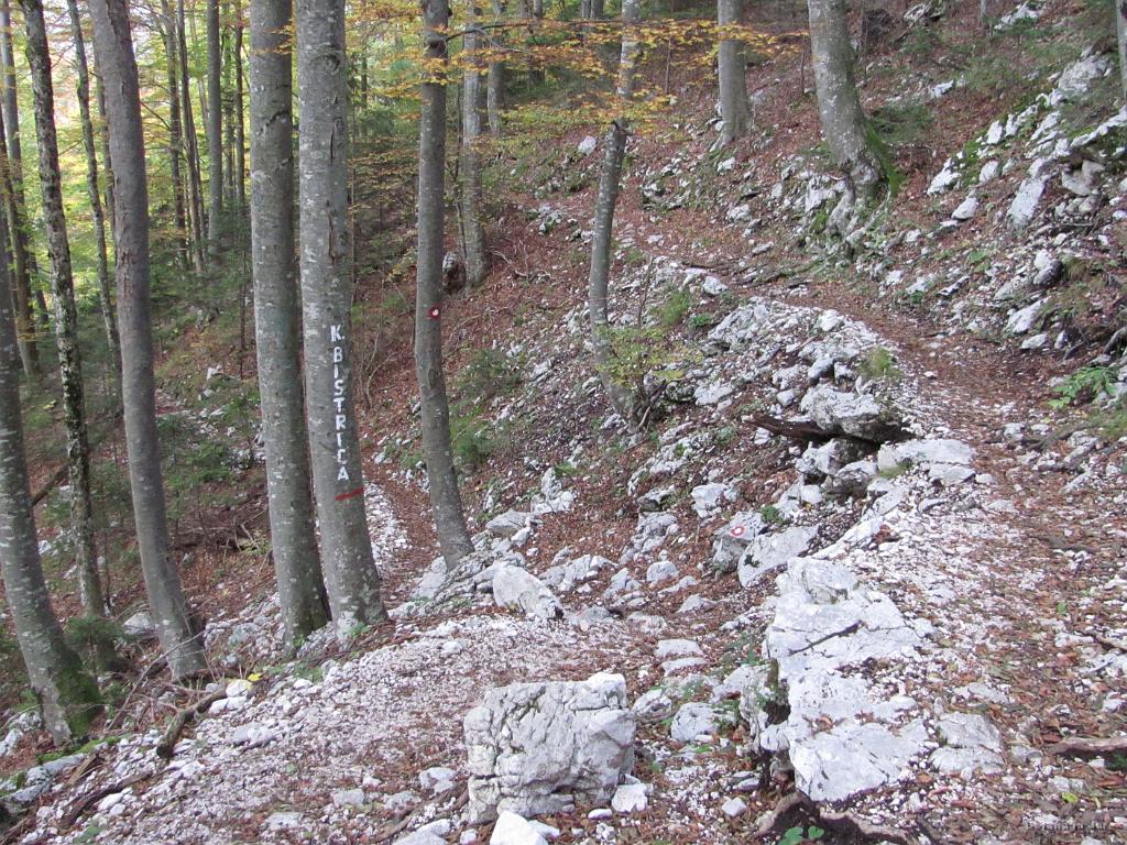 Slika_03.jpg - Pot z Jermance nas kaj hitro pripelje do združenja poti za Kamniško Bistrico.