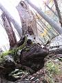 Slika_08