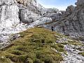 Slika_34
