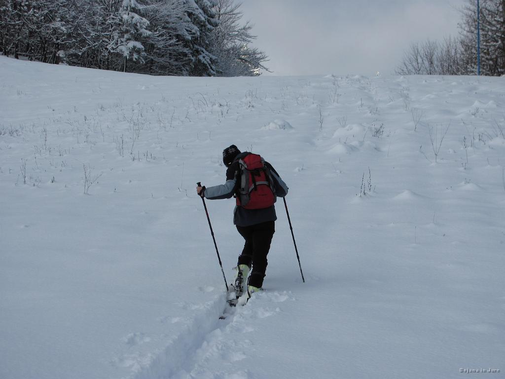 Slika_04.JPG - Tu mi odleti del palice. Hja, za poleti že še bo, za zimo pa rabim nove.