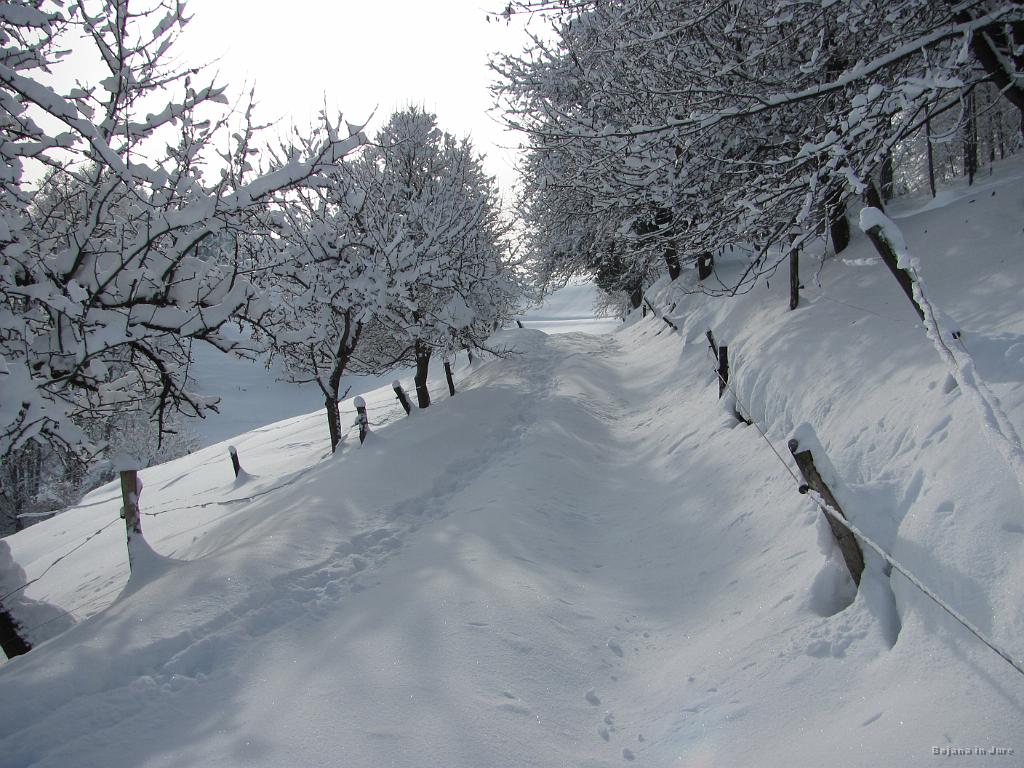 Slika_06.jpg - Zasnežena pot naju mimo domačije Pišek vodi do prvega cilja...