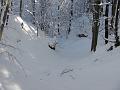 Slika_17
