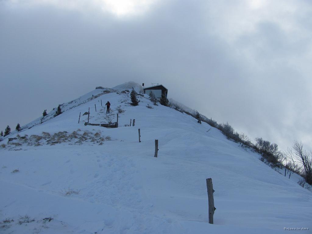 Slika_19.jpg - Vendar najin kucl se ne da. Ostaja sramežljiv in zakrit.