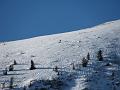 Slika_05