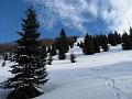 Slika_16