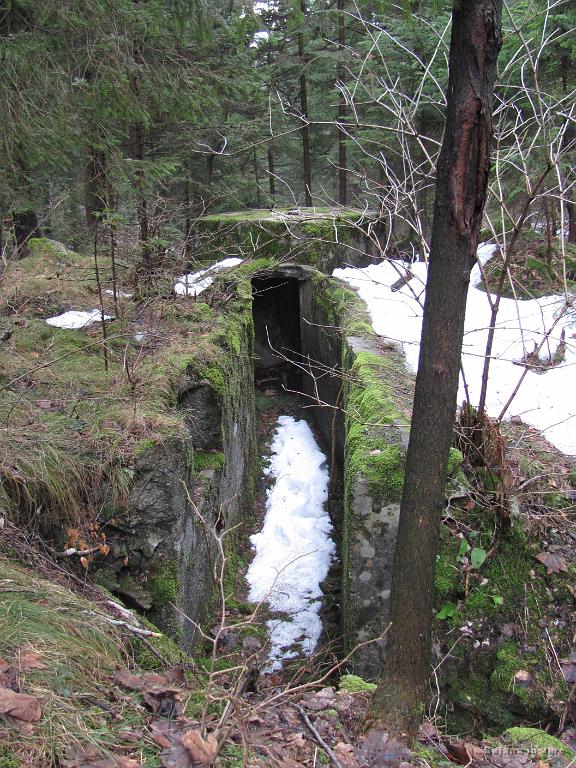 Slika_04.jpg - Do bunkerja ob Vrhniški jami vodi tak ukop.
