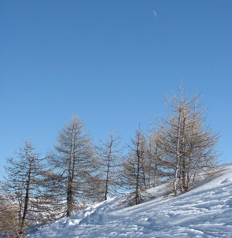 Slika_103.jpg - Luna. Prvi dan je bila tako obrnjena, da nismo vedeli, ali Crkuje ali se Debeli. Zdaj vidimo, da se debeli.
